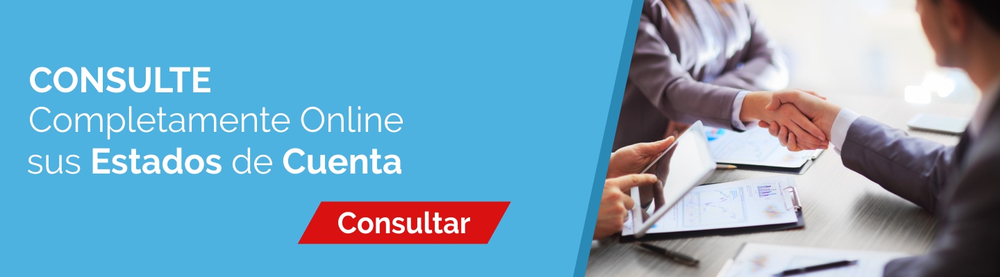 Consulta